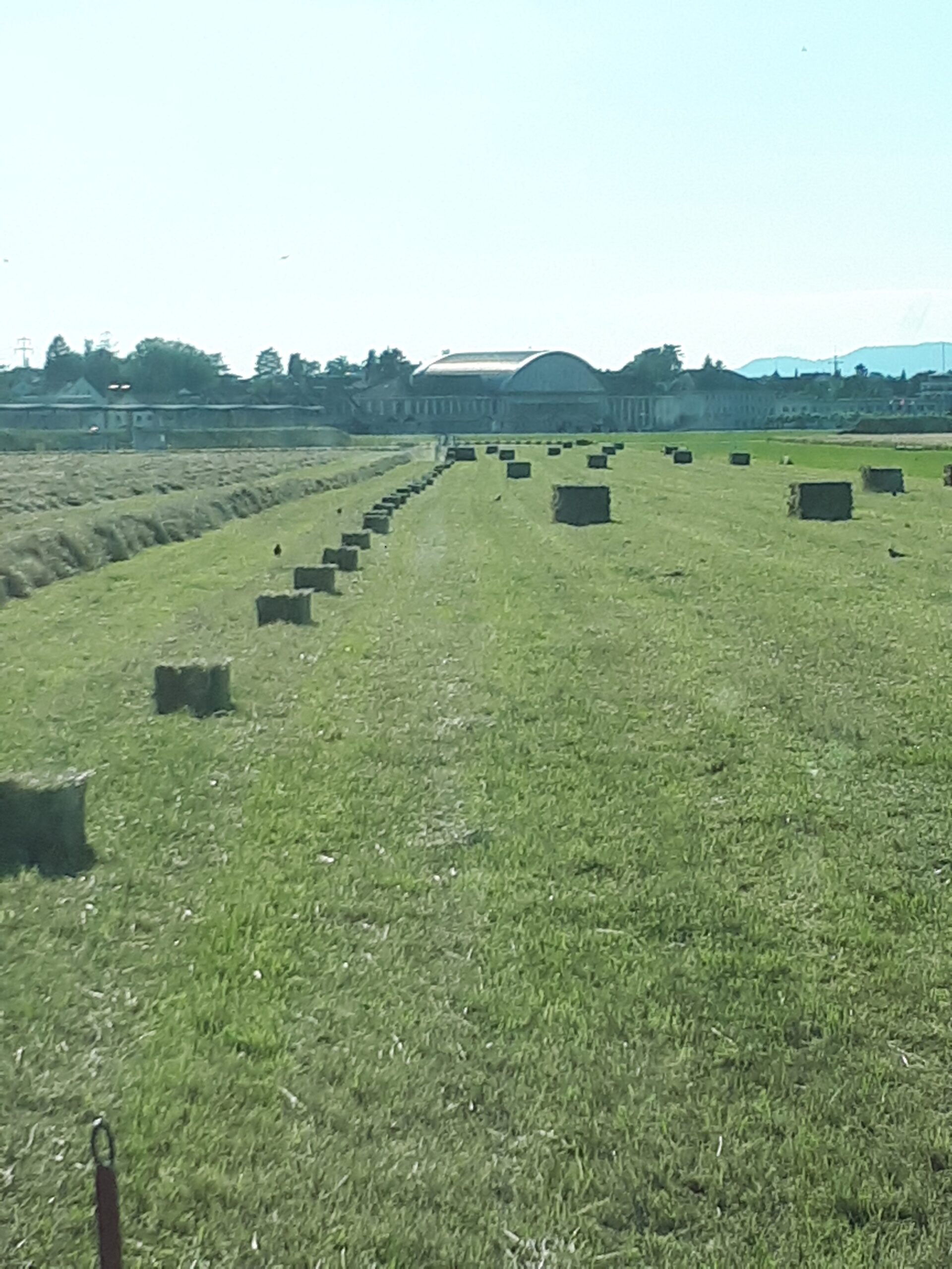 20200623_183305-e1654516325630