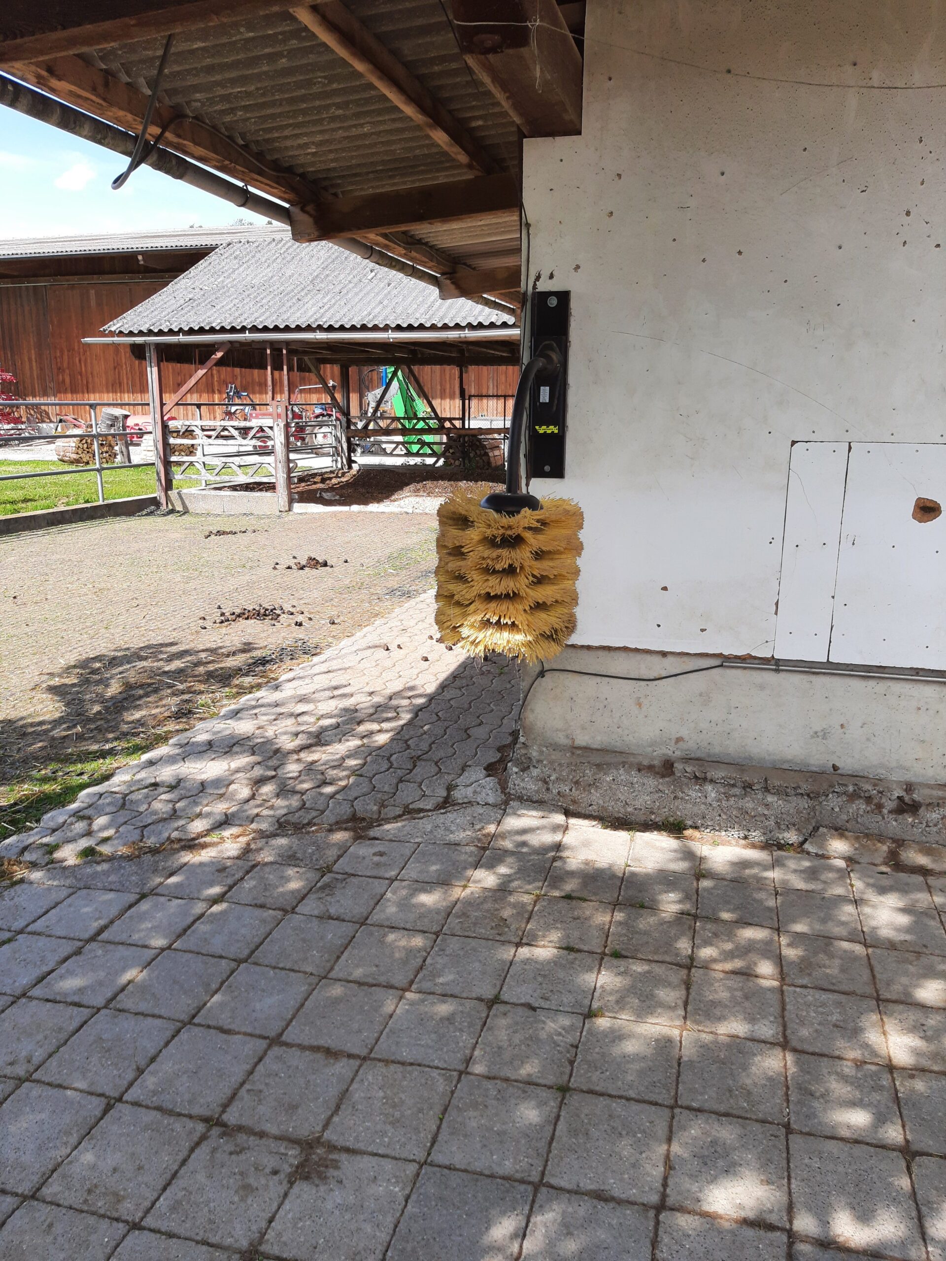 20220512_1536261-1-e1654514170117