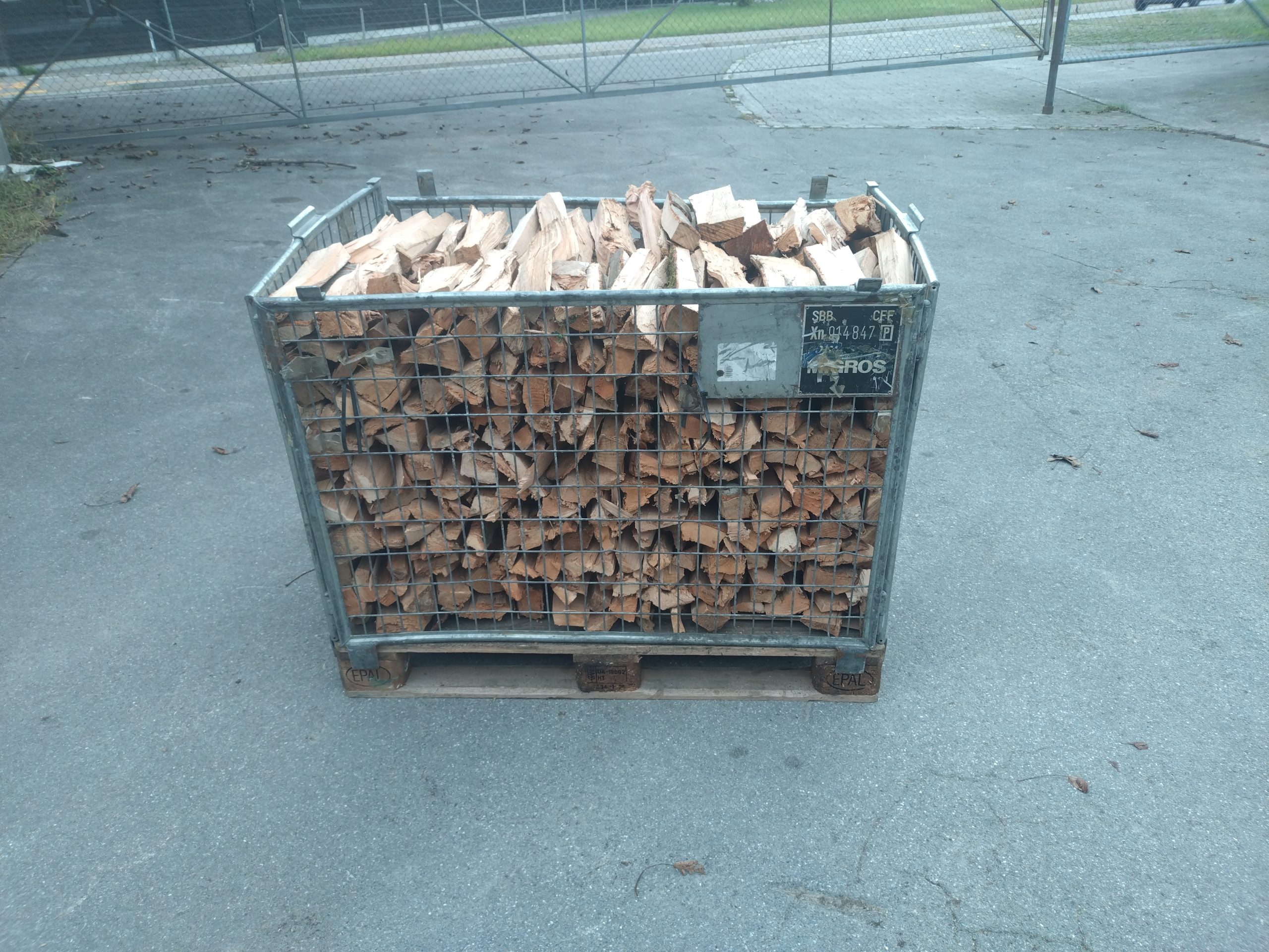 20240913_094435-scaled (1)