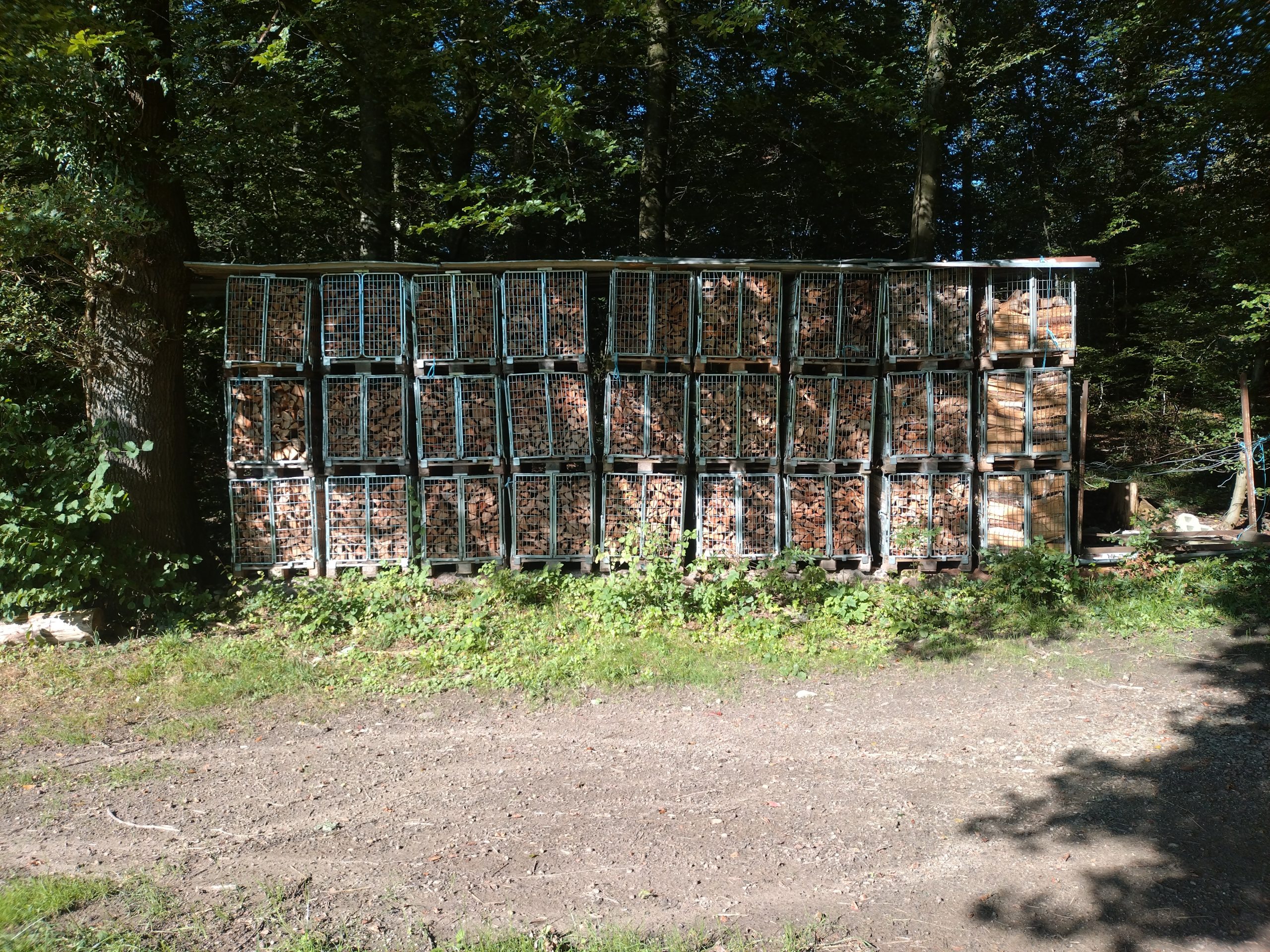 20240915_164813-scaled (1)