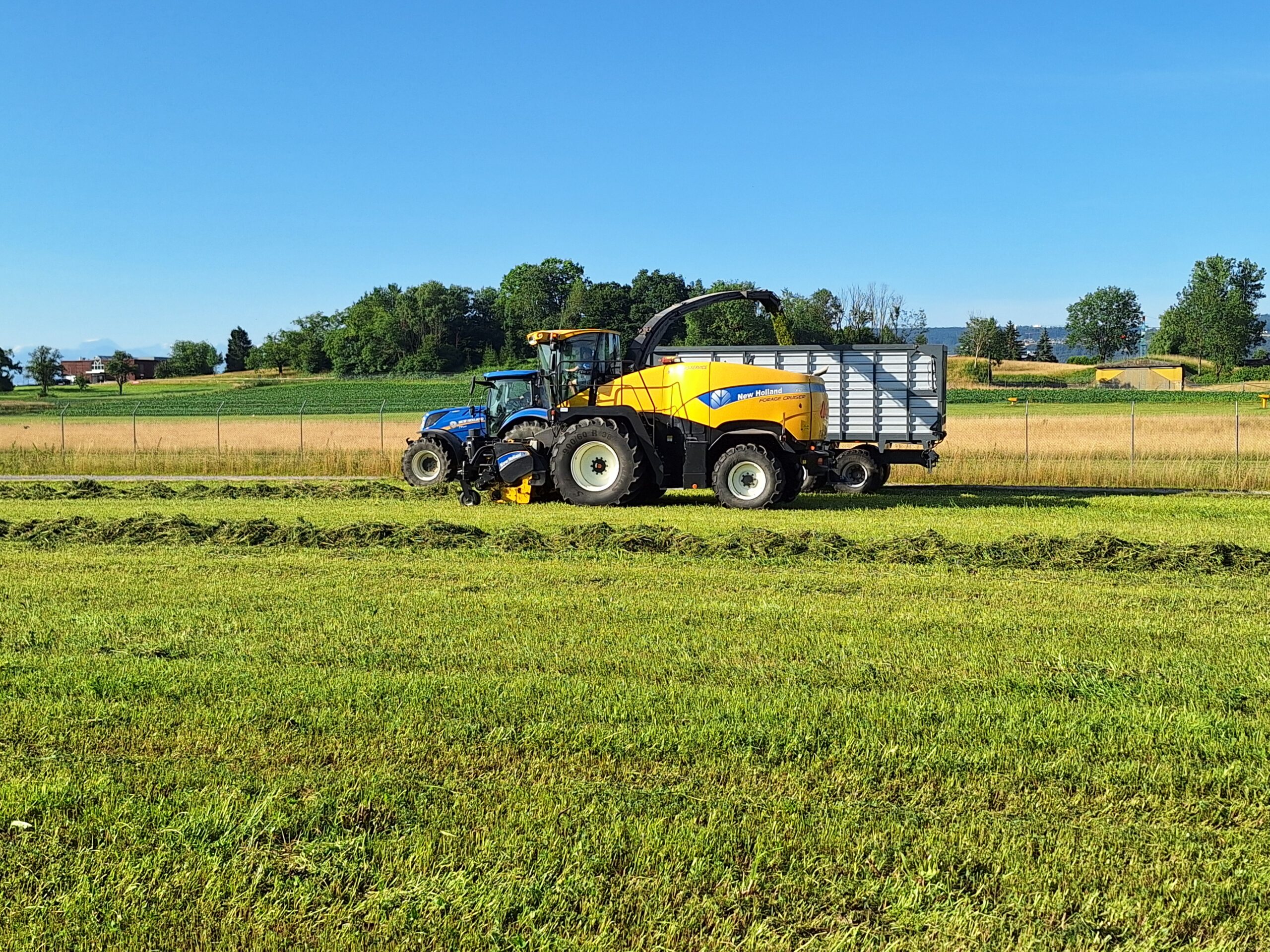 20250625_081451 20250625_081451